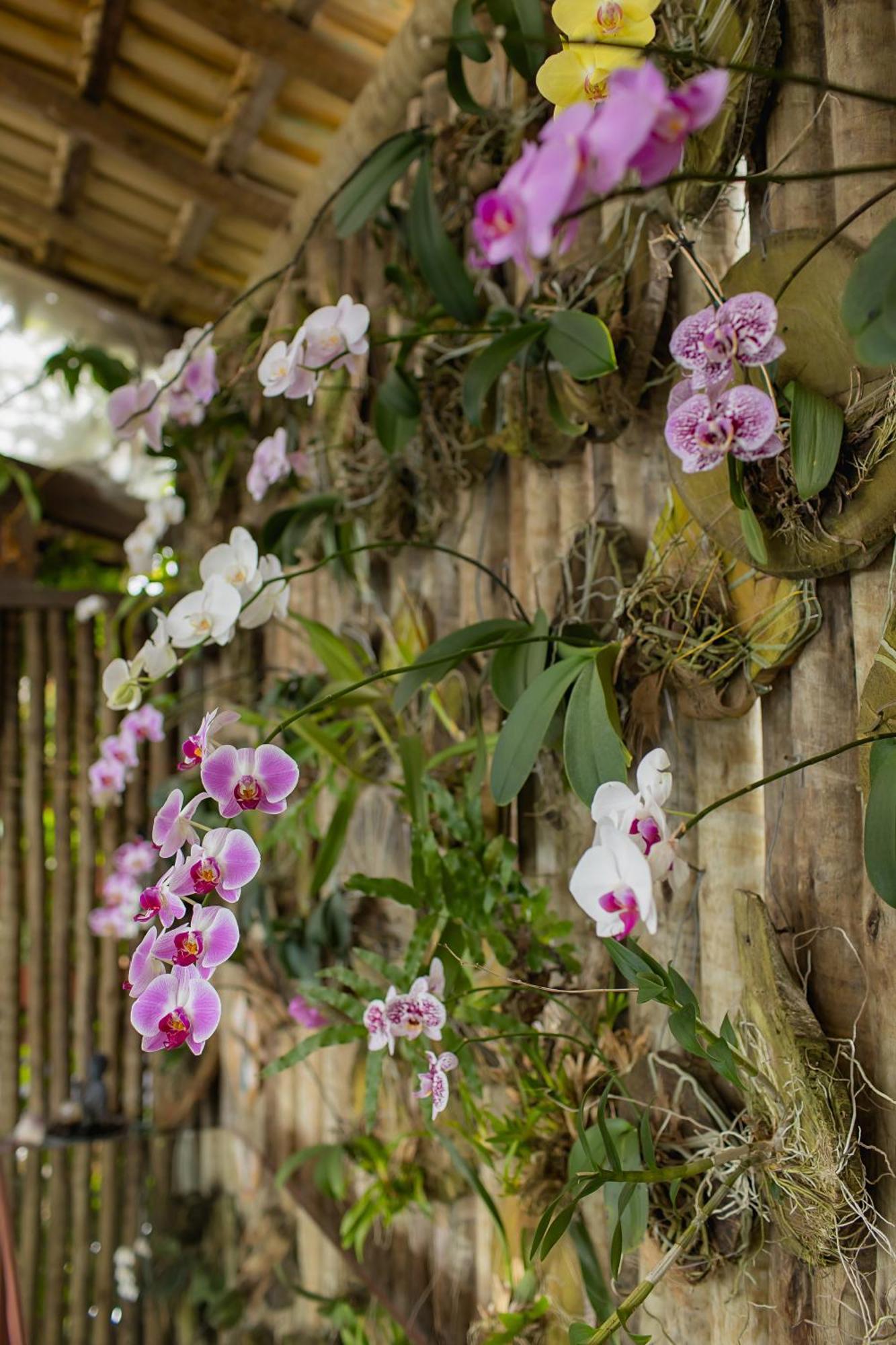 Orquidea Cafe Hotell Guarapari Eksteriør bilde